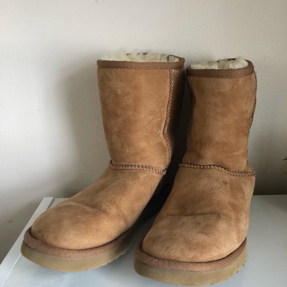 Chestnut ugg short boots
